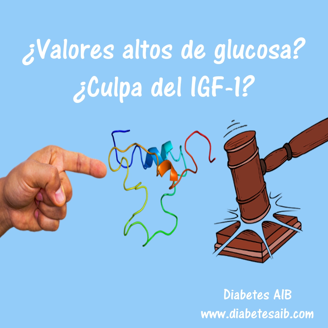 miniatura de Valores altos de azúcar en diabetes por acción de la IGF-1 ¿Hay solución? Descúbrela | Diabetes AIB
